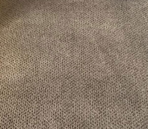 carpet clean