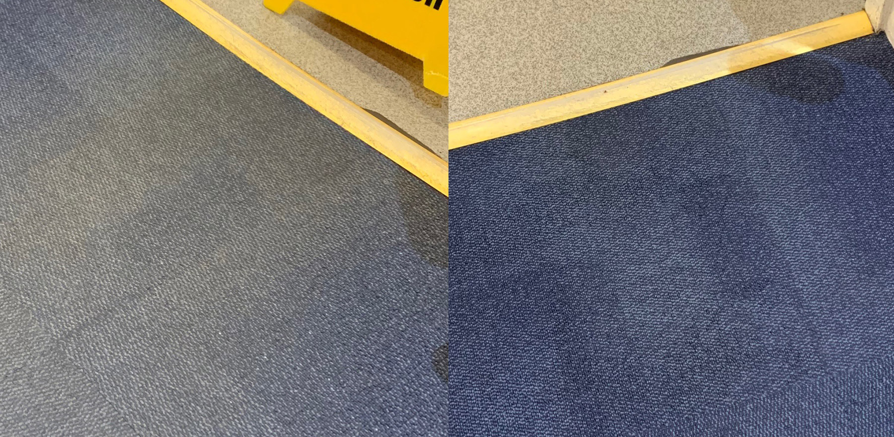 Storm carpet cleaning