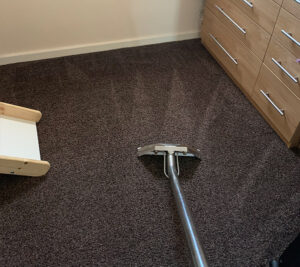 Domestic cleaning carpet